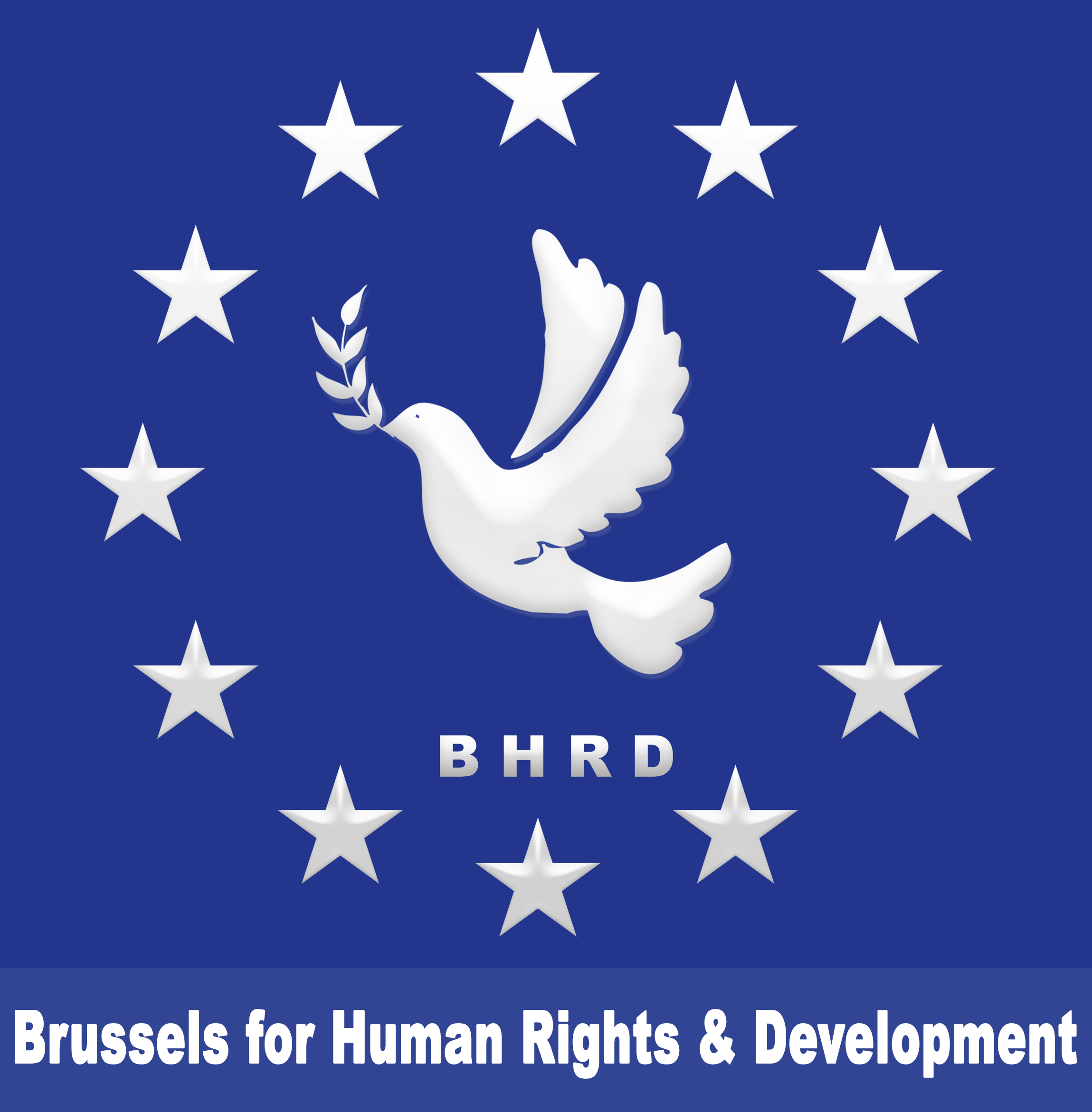 Brussels for Human Rights and development